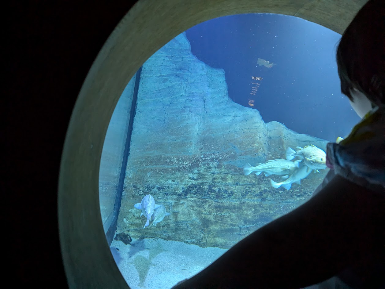 Fish and Emma in the Ozeaneum.