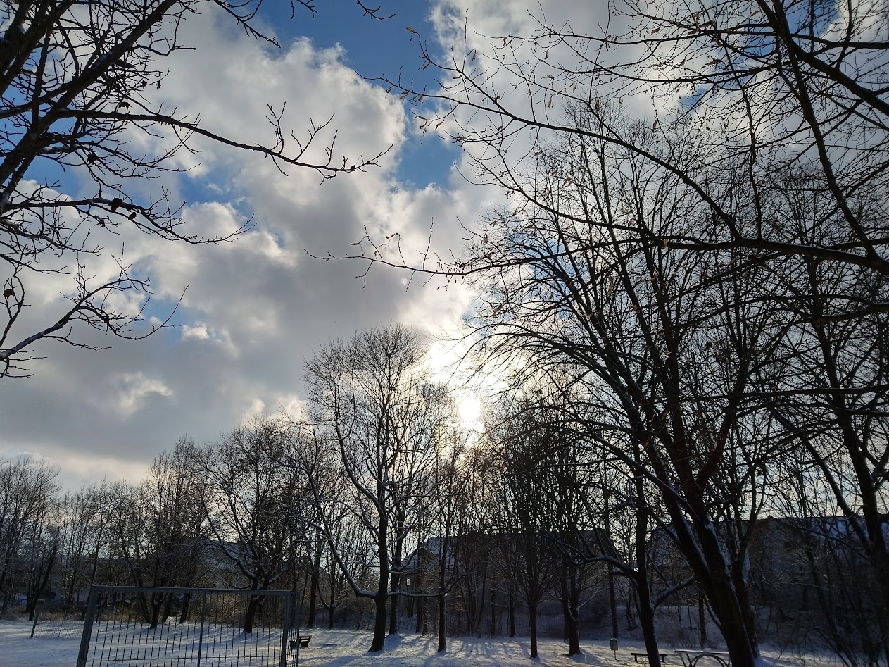 Winter ambiance with a little amount of snow.