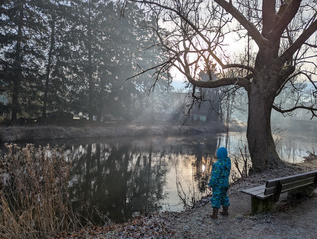 Walk on first of January, mist and calm by the river.