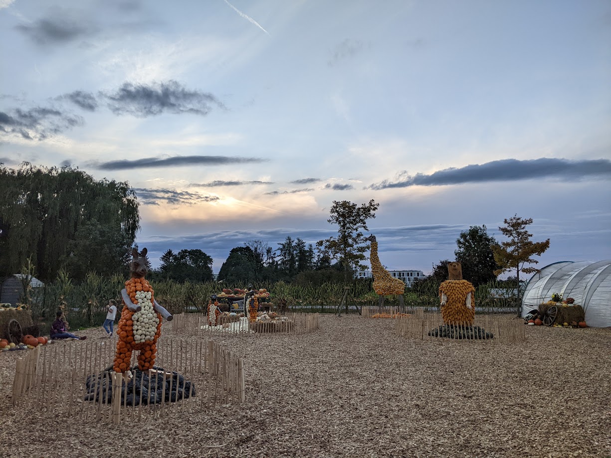 Sculptures made of pumpkins.