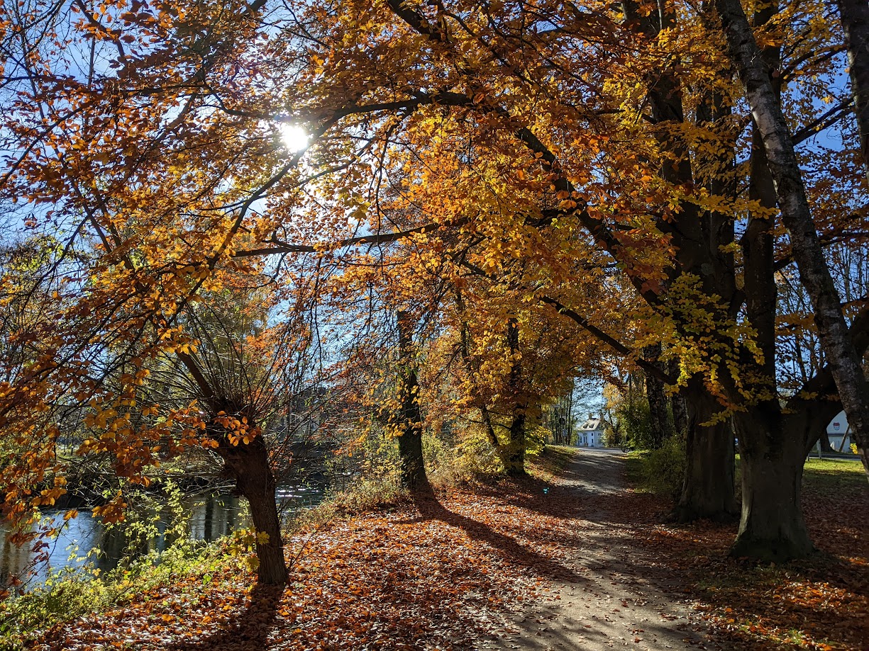 Gold autumn setting with a river nearby.